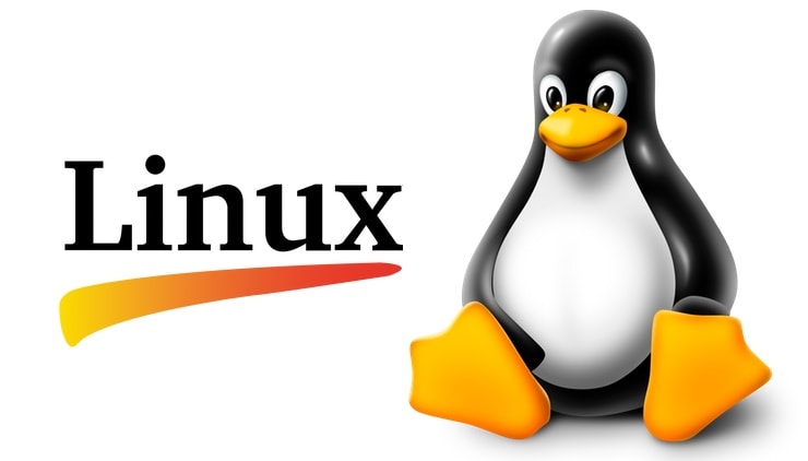Certified Linux Fundamental Training