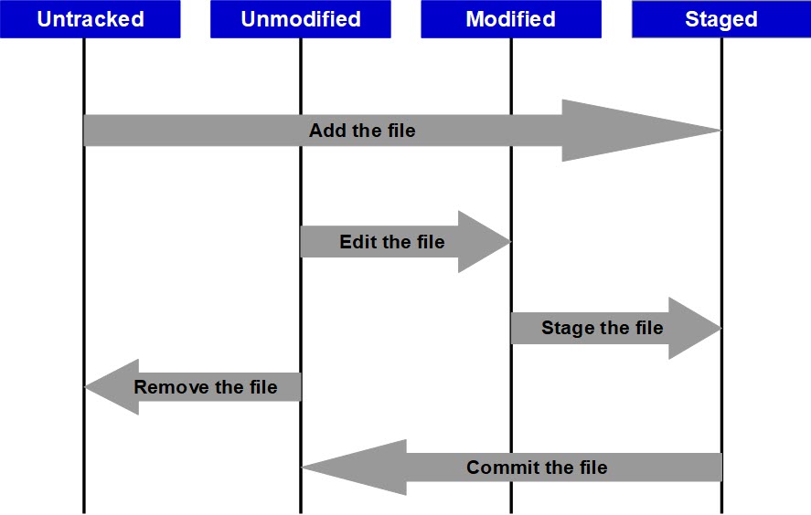 Basic Git Workflow